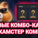 Які комбо картки Hamster Kombat 20 червня?
