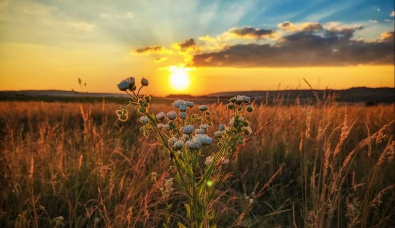 Погода в Україні все ще залишатиметься теплою