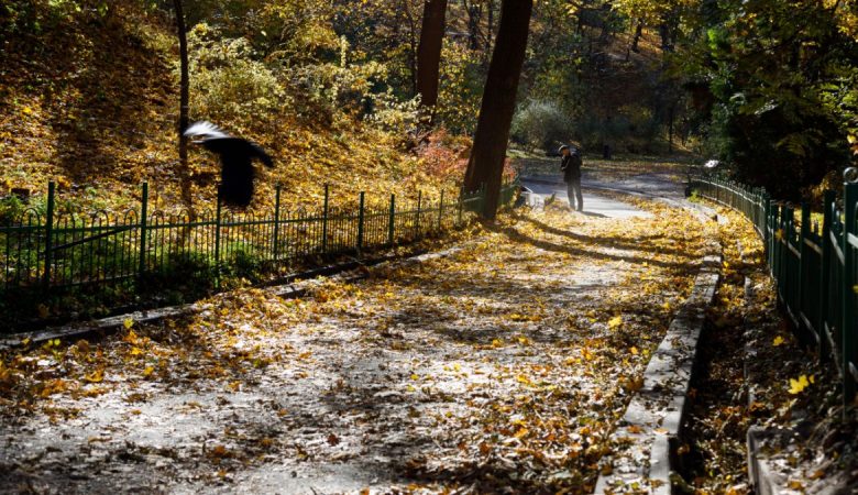 Погода в Україні дедалі холоднішатиме