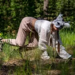 Що таке квадробер і квадробіка – тренд, від якого божеволіють дорослі та діти