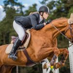 Кінний спорт в Україні досі актуальний