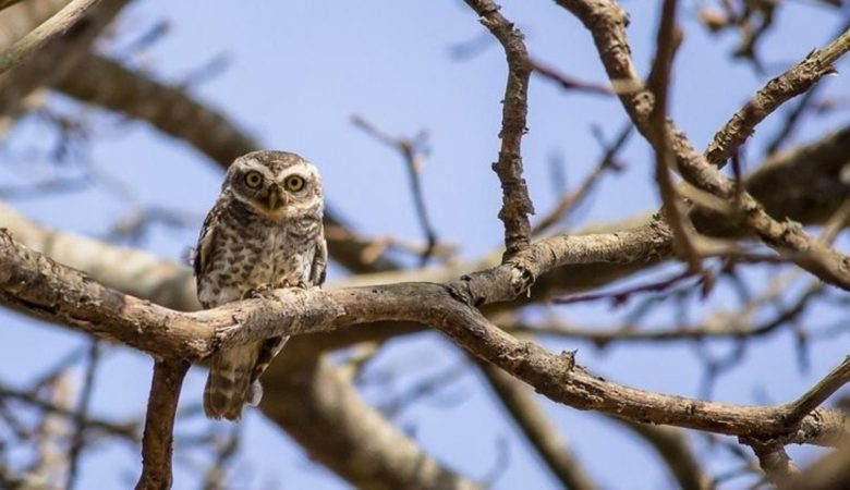 Погода в Україні буде теплішою