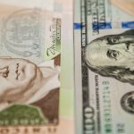 Курс валют на 16.12.2024: скільки коштують долар, євро і злотий
