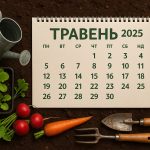 Що саджати в травні 2025 у відкритий ґрунт: календар городника