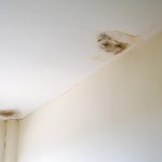 Де в будинку може бути цвіль? 5 нетипових місць
