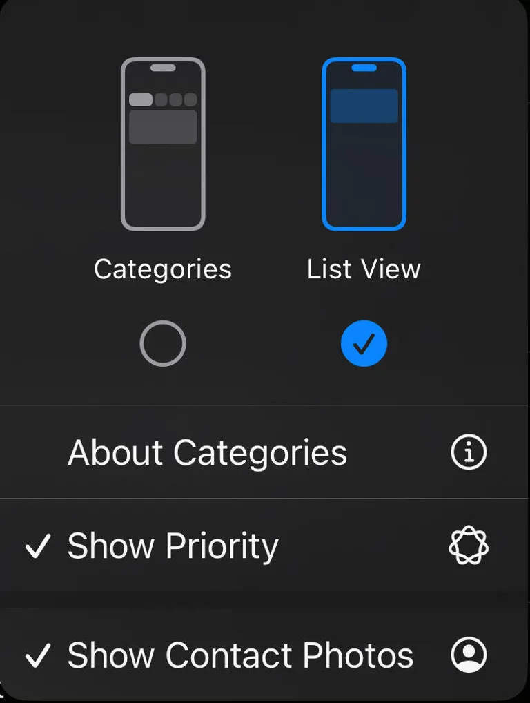 iOS 18.5