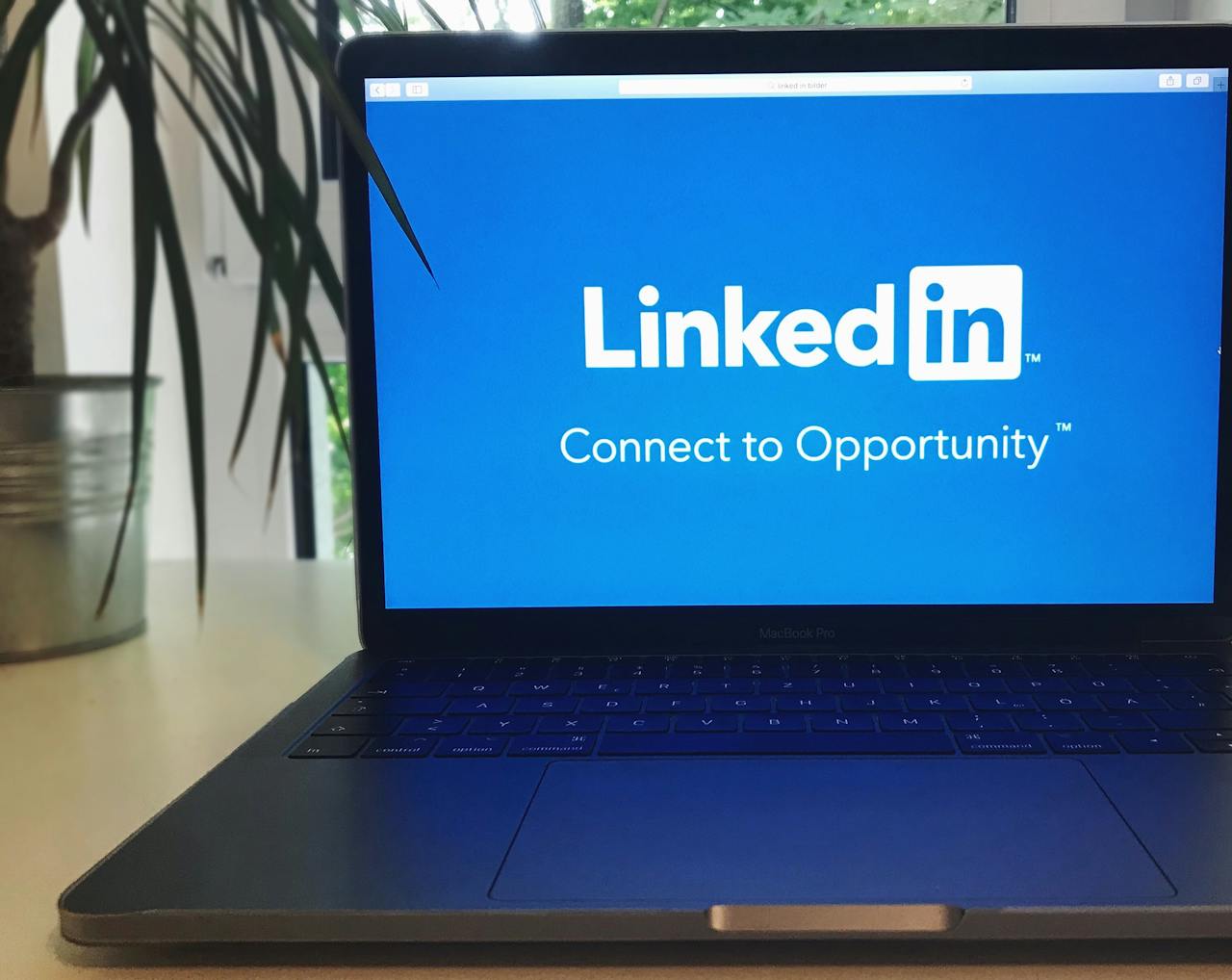 Випадково поставили лайк у LinkedIn і видалили його: чи побачить це користувач?
