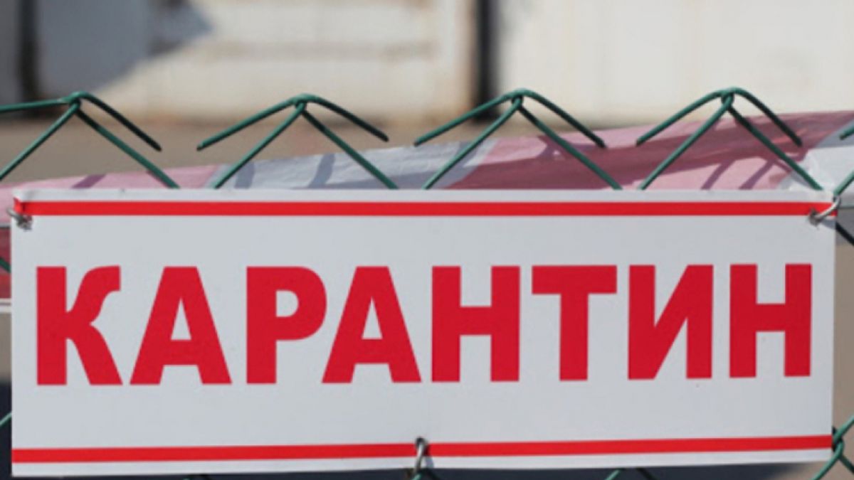 На Київщині виявлено випадок сказу: де запроваджені карантинні обмеження