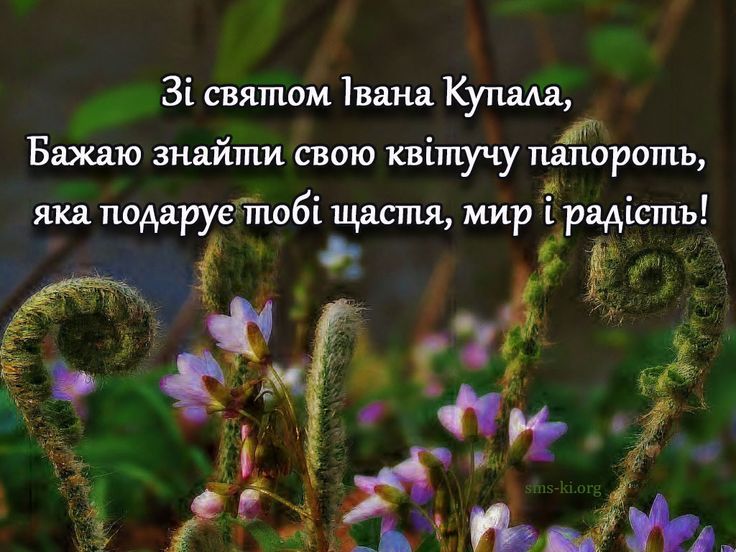 Івана Купала 24 червня 2025: історія, традиції та значення свята