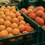 Абрикоси з'явилися в продажу: чому ціни зросли і де знайти вигідні пропозиції