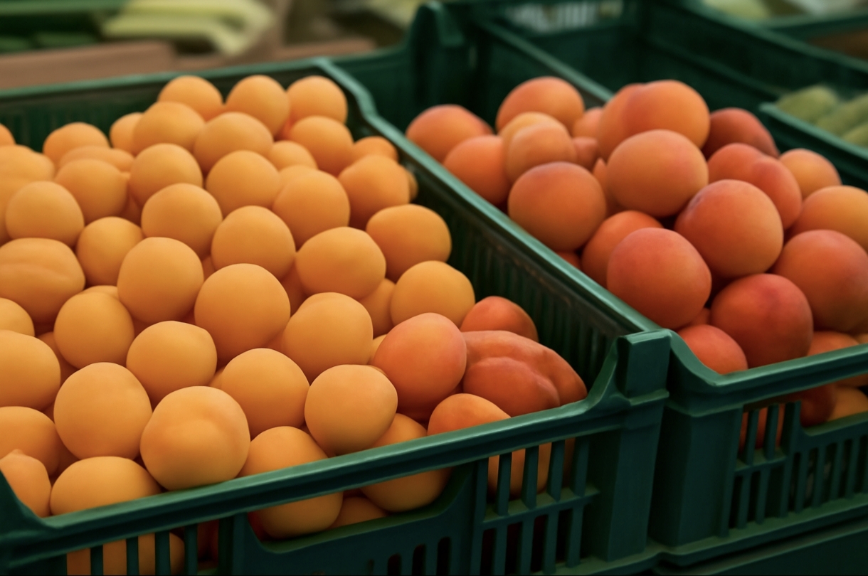 Абрикоси з'явилися в продажу: чому ціни зросли і де знайти вигідні пропозиції