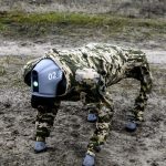 Україна запустила новий напрямок «Контракту 18-24»: хто отримає спеціальні умови