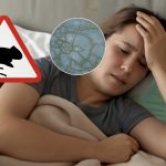 В Україні зафіксовано два випадки лептоспірозу: джерело зараження, симптомом та як захиститися