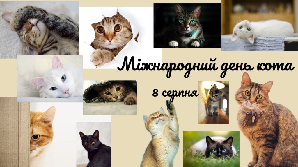 8 серпня — Міжнародний день кота: картинки та зворушливі привітання любителям пухнастих
