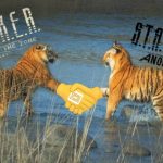 Масштабний мод S.T.A.L.K.E.R.: Anomaly офіційно вийшов на GOG