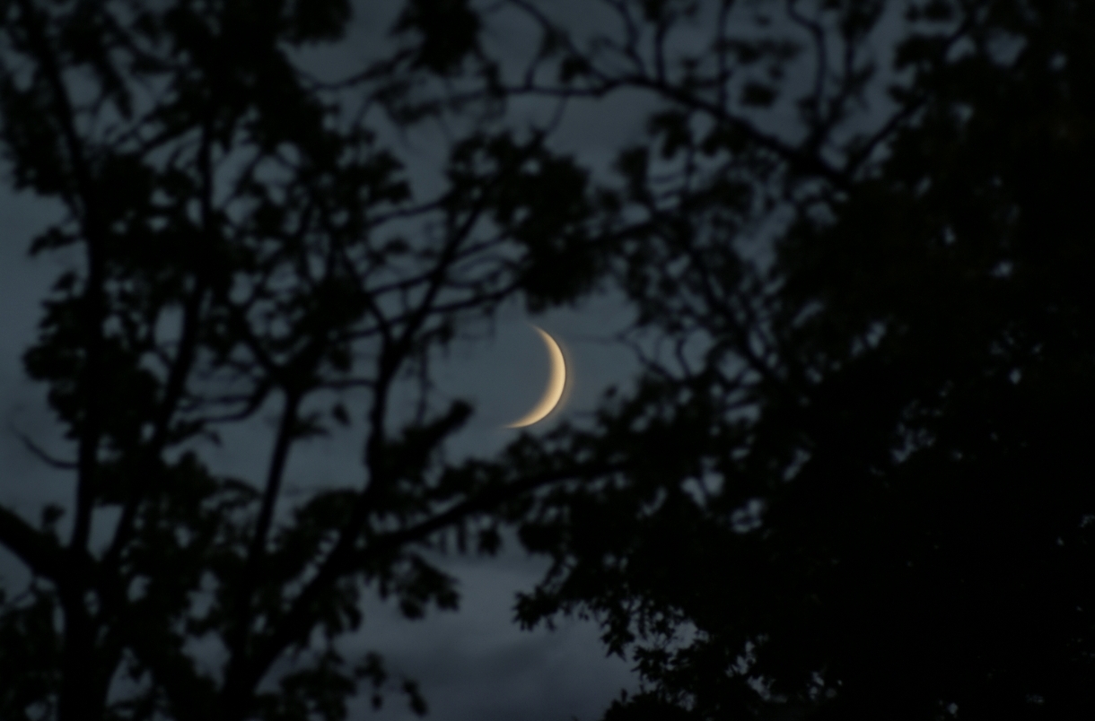 Небезпечні дати жовтня: коли краще утриматися від важливих справ – прогноз астролога Еріки Рояллс