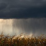 Погода в Україні 7 жовтня: дощі, тумани й осіння прохолода