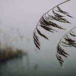 Погода в Україні 13 жовтня: дощі, прохолода та короткі прояснення сонця