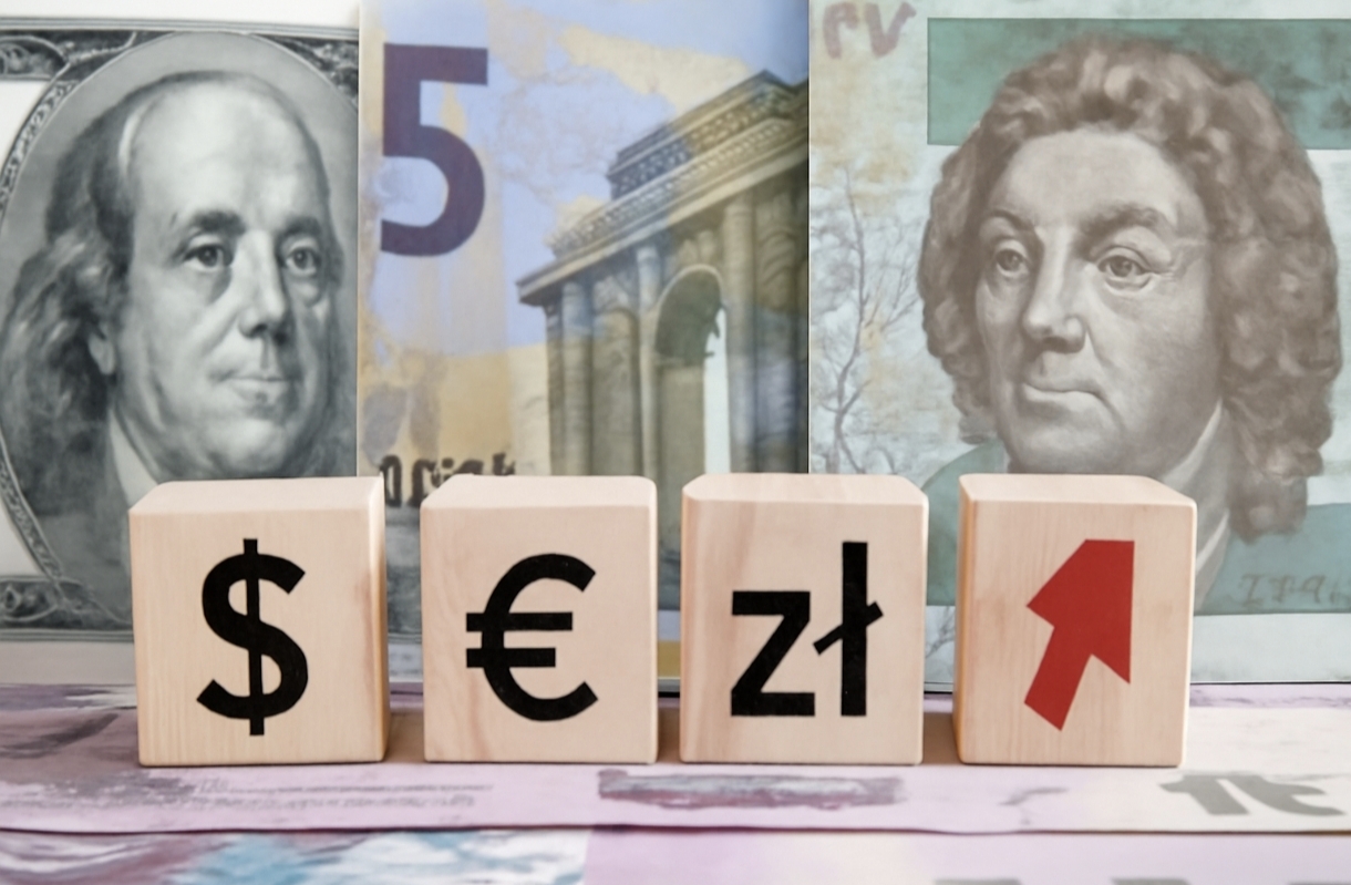 Курс валют на 13.11.2025: скільки коштують долар, євро і злотий