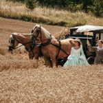 Кава з кардамоном Сила землі 2 сезон 5 серія: дивитись безкоштовно онлайн