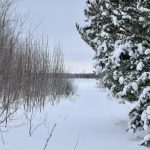 Прогноз погоди 8 січня 2026 в Україні: де буде мокрий сніг, дощ і сильний вітер