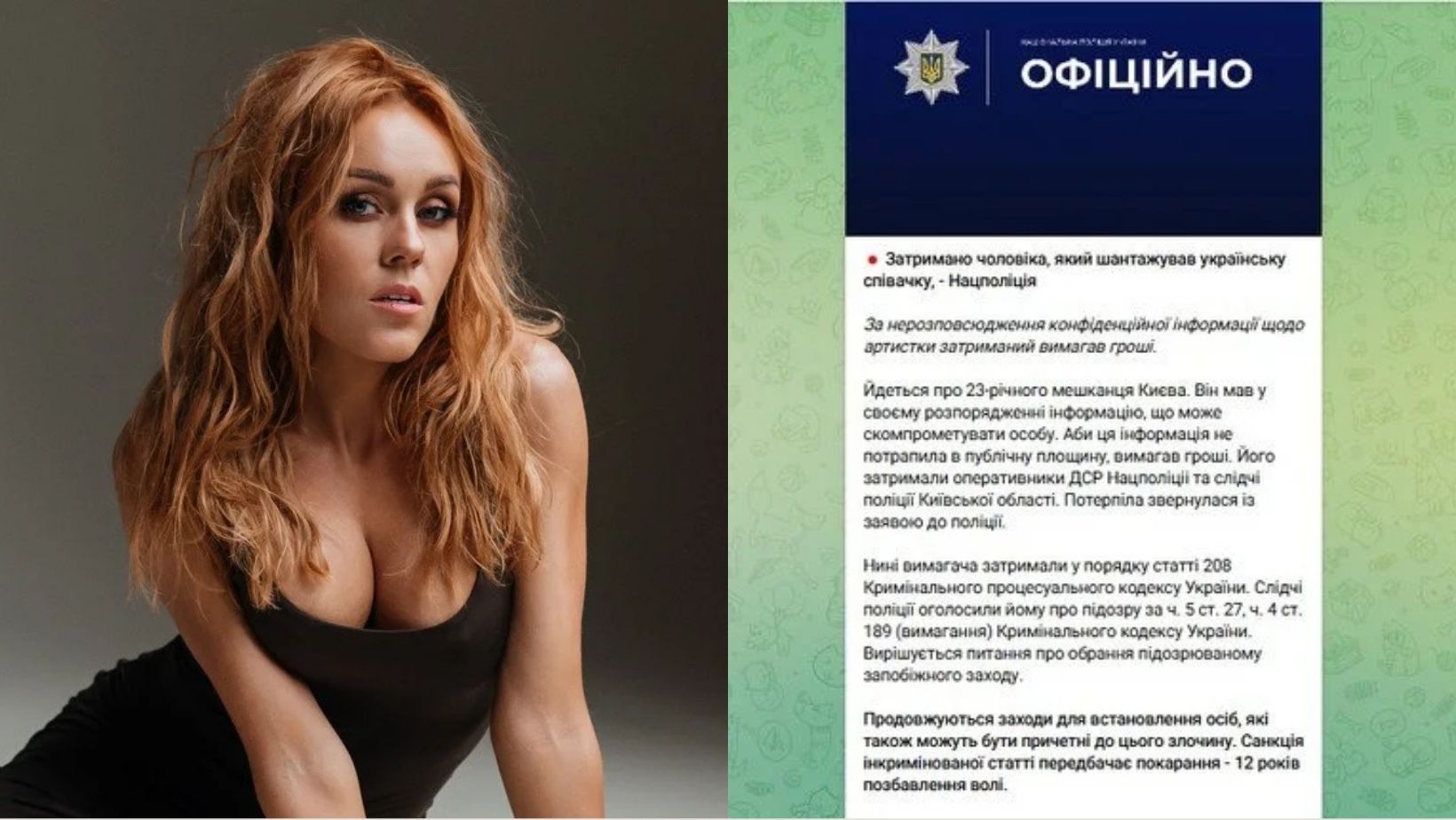 Олена Тополя заявила про шантаж і злив інтимних відео: яку суму вимагали, кого затримали і яке покарання загрожує