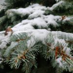 До -20 градусів: де і коли очікувати різкого похолодання в Україні
