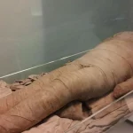 У Києві виявили муміфіковане тіло в квартирі: що відомо про чоловіка і його смерть