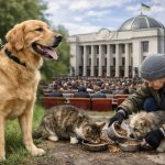 В Україні змінюють правила утримання тварин: за що можуть стягнути штраф у власників