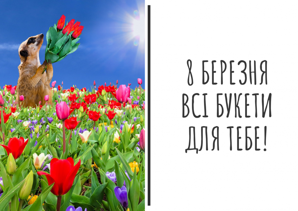 Як оригінально привітати подругу з 8 березня: тексти та картинки, які ідеально підходять для Viber, Telegram чи Instagram