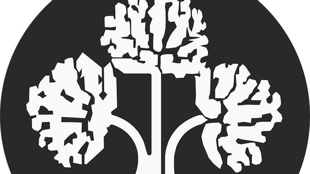Хто такий Володимир Борейко та що відомо про одного з найвідоміших екологів України, який загинув у ДТП
