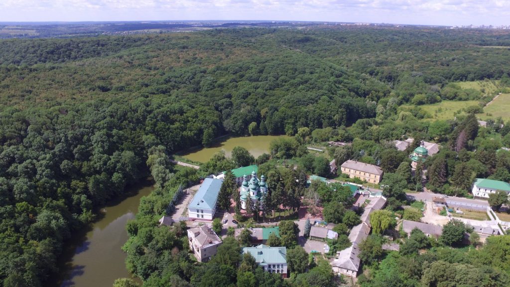 Хто такий Володимир Борейко та що відомо про одного з найвідоміших екологів України, який загинув у ДТП