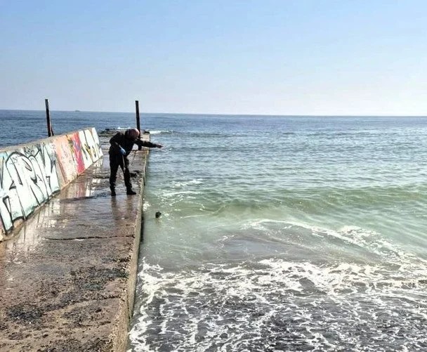 Чому море в Одесі пожовтіло: причина аномалії, рівень забруднення та чи можна купатися