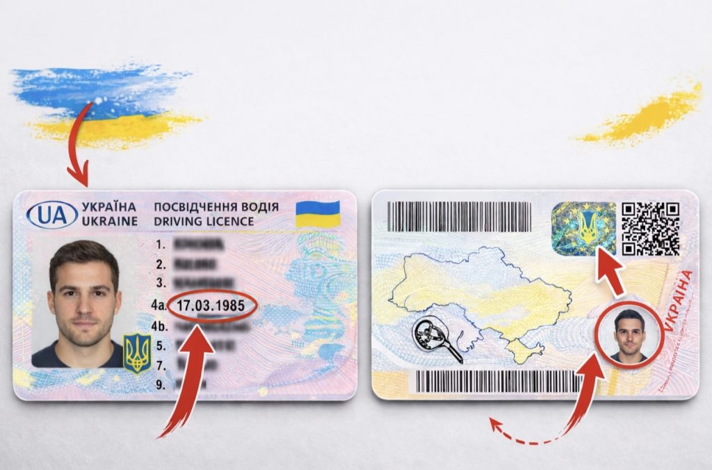 Як перевірити водійське посвідчення на підробку в Україні у 2026 році онлайн: чому права не відображаються в «Дії» та як знайти їх у реєстрі МВС