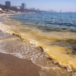 Жовте море в Одесі 2026: що сталося, звідки запах, які небезпечні речовини у воді
