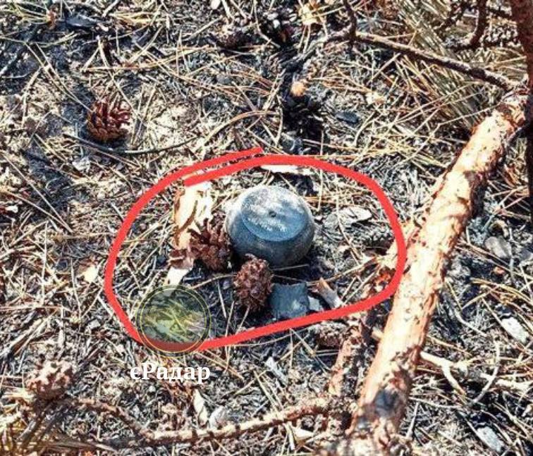 Що таке міна «Пряник» і чому вона небезпечна для цивільних в Україні