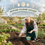 Місячний посівний календар на травень 2026: що та коли сіяти в Україні
