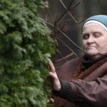 Сліпа 2026 серія 25-30: дата виходу та де дивитись онлайн