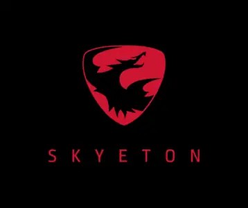 Кому належить компанія Skyeton, де був її офіс у Києві та які дрони вона виробляє для ЗСУ