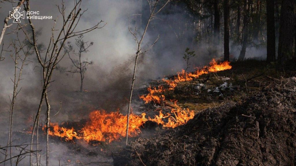 У Чорнобильській зоні критична ситуація через пожежу: чи є ризик для здоров’я українців