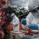 Спалах смертельного вірусу Ебола 2026: як передається хвороба та чому її боїться весь світ