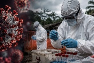 Спалах смертельного вірусу Ебола 2026: як передається хвороба та чому її боїться весь світ