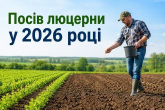 Коли сіяти люцерну у 2026 році: норма висіву, посів вручну та технологія вирощування