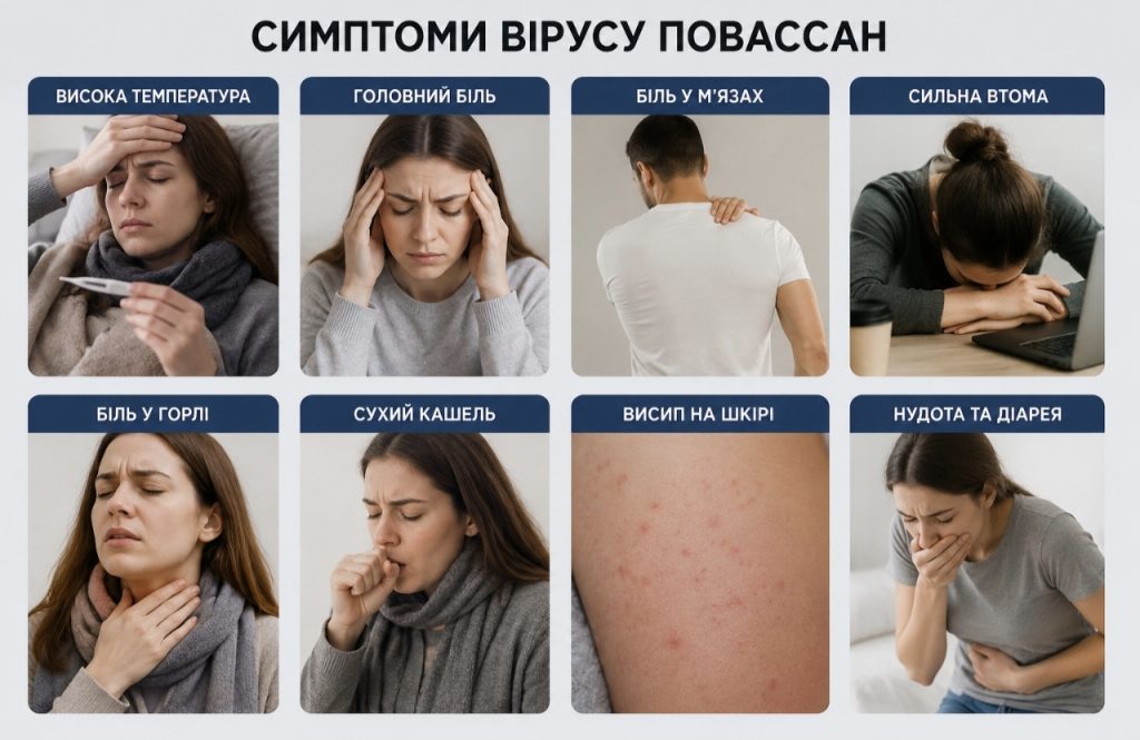 Що таке вірус Повассан та чому його пов’язують із тяжкими ураженнями мозку