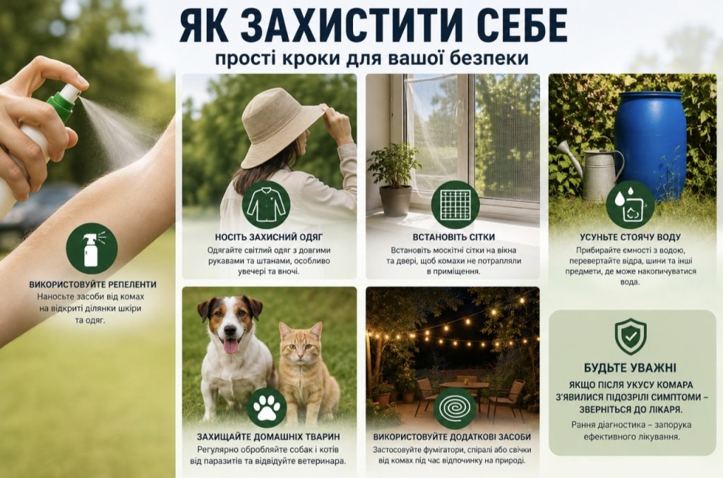 Дирофіляріоз атакує українців: як комарі переносять небезпечного паразита, які симптоми виникають і що радять лікарі