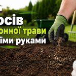 Як правильно посіяти газонну траву вручну: норма висіву, підготовка ґрунту та газон без плям