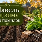 Коли сіяти щавель під зиму у 2026 році: вибір місця, підготовка грядки та догляд