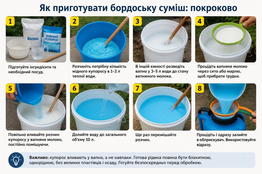 Як зробити бордоську суміш 1% і 3%: пропорції купоросу та вапна для обробки саду