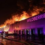 Чому удари по складах Wildberries у росії мають стратегічне значення: як логістичні центри впливають на постачання армії та економіку РФ