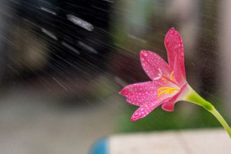 Погода на 20-21 липня 2026 в Україні: прогноз синоптиків, де буде спека, а де зливи